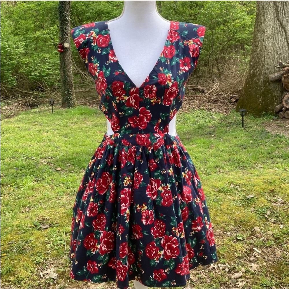NWT Sans Souci Floral Cutout Fit & Flare Dress SzS
